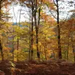 Pause thermale & spa en Normandie