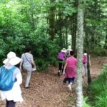 Pause thermale & spa en Normandie