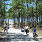 Echappée vibrante entre forêts et océan