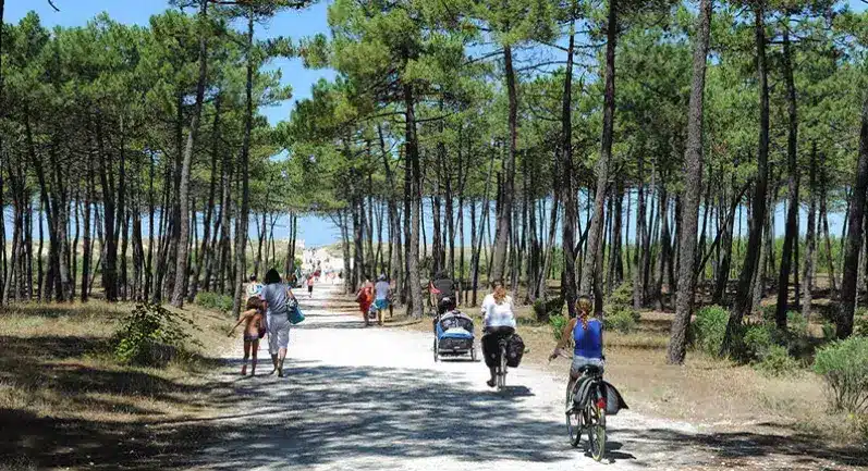 Echappée vibrante entre forêts et océan