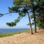 Echappée vibrante entre forêts et océan