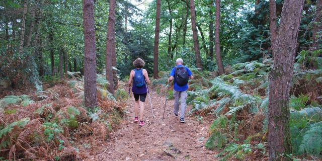 Cure de remise en forme en Normandie
