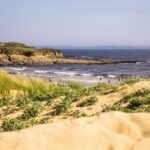 Détente au bord de la mer