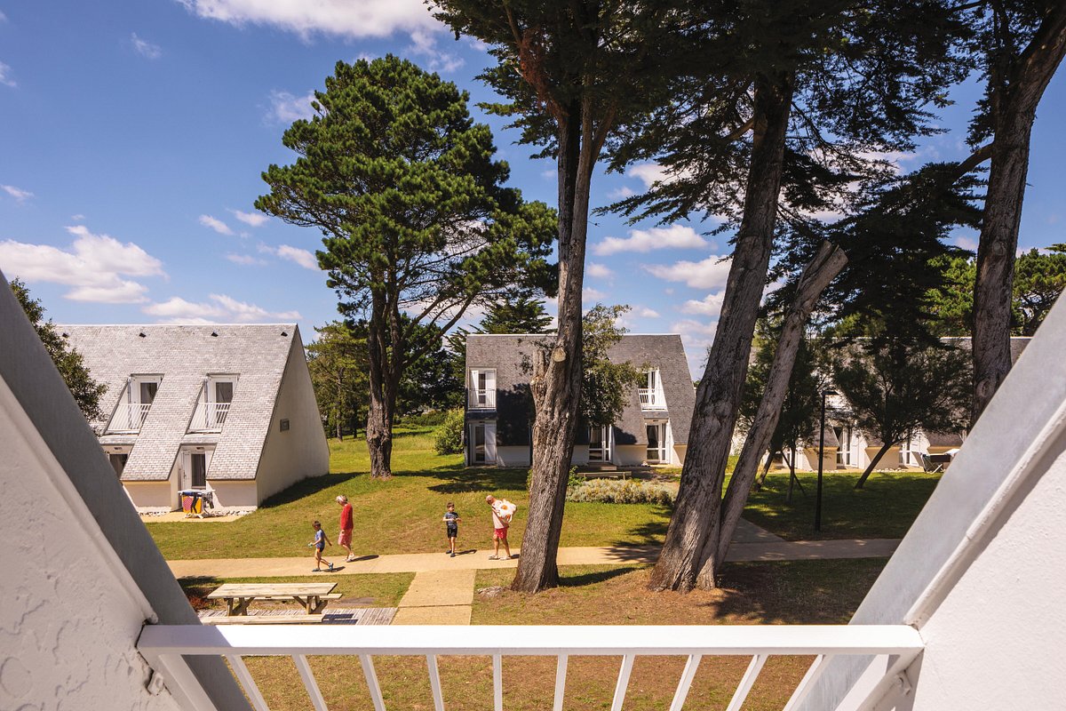 Détente au bord de la mer