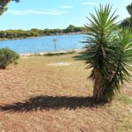 Petite Camargue, grand confort