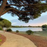 Petite Camargue, grand confort