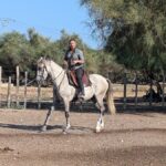 Petite Camargue, grand confort
