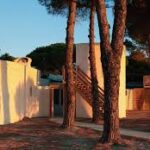Petite Camargue, grand confort