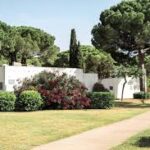 Petite Camargue, grand confort