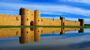 Petite Camargue, grand confort
