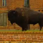 Week-end détente sur la côte normande