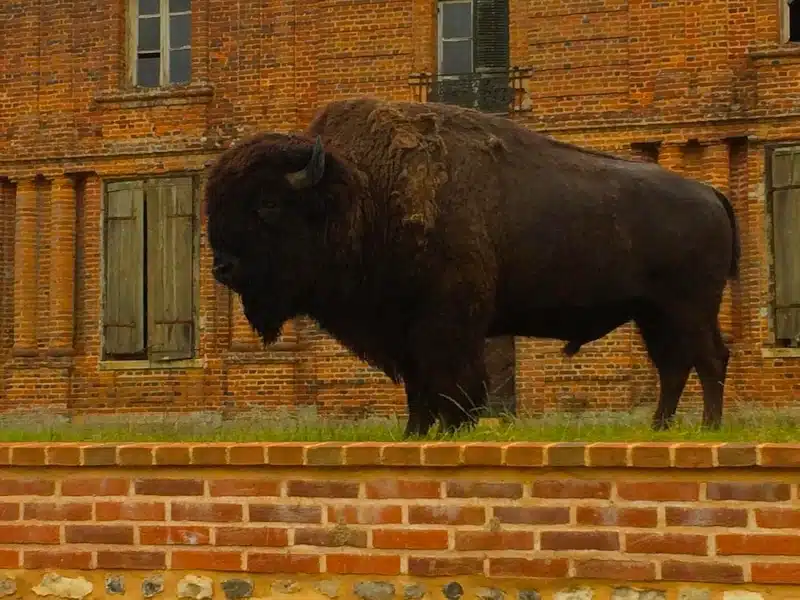 Week-end détente sur la côte normande