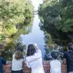 Entre lacs et océan, dans les landes