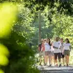 Entre lacs et océan, dans les landes