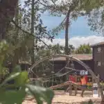 Entre lacs et océan, dans les landes