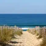 Entre lacs et océan, dans les landes