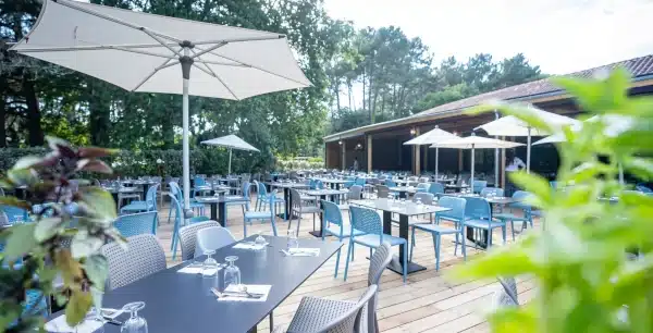 Entre lacs et océan, dans les landes