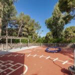 Eaux cristallines et flamands roses