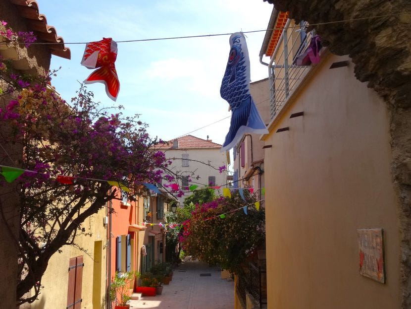 Eaux cristallines et flamands roses