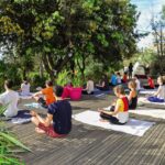 Eaux cristallines et flamands roses